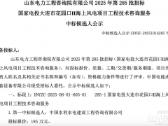 國家電投180MW海上風電項目開標！